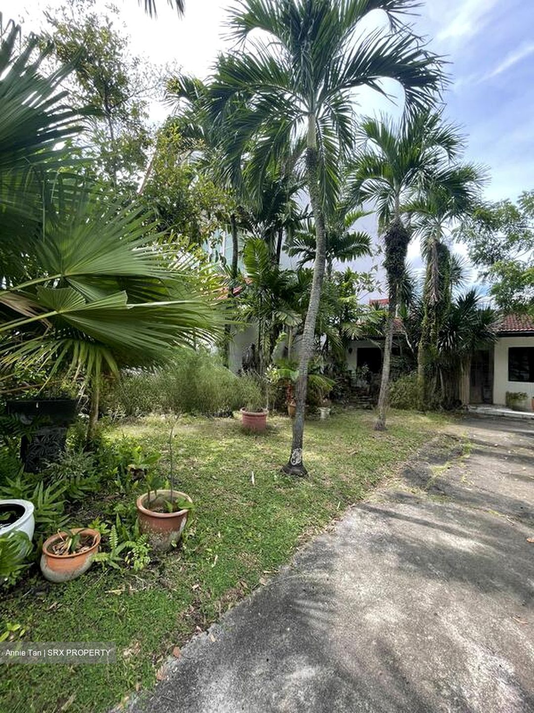 Seletar Hills Estate (D28), Semi-Detached #610314461